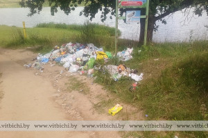 Кто в ответе за неубранный мусор: коммунальщики или сами люди? В проблеме разбирался корреспондент vitbichi.by