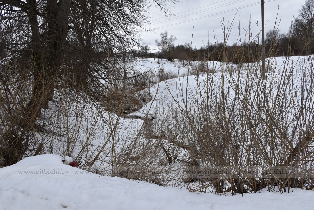 деревня витебский район