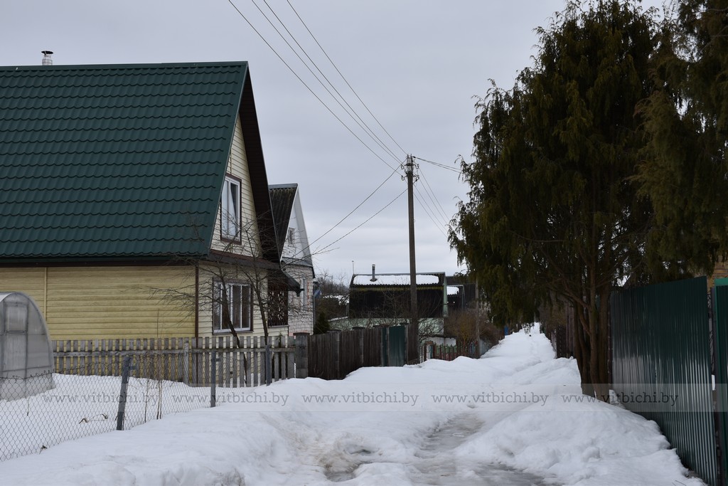 деревня витебский район