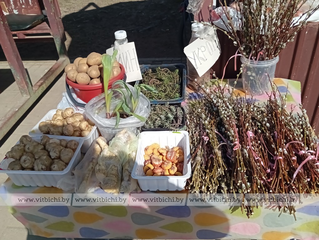 Чкаловский рынок