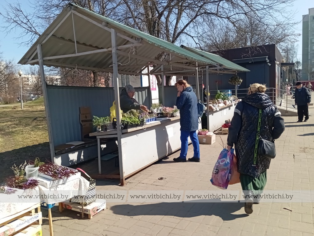 Чкаловский рынок