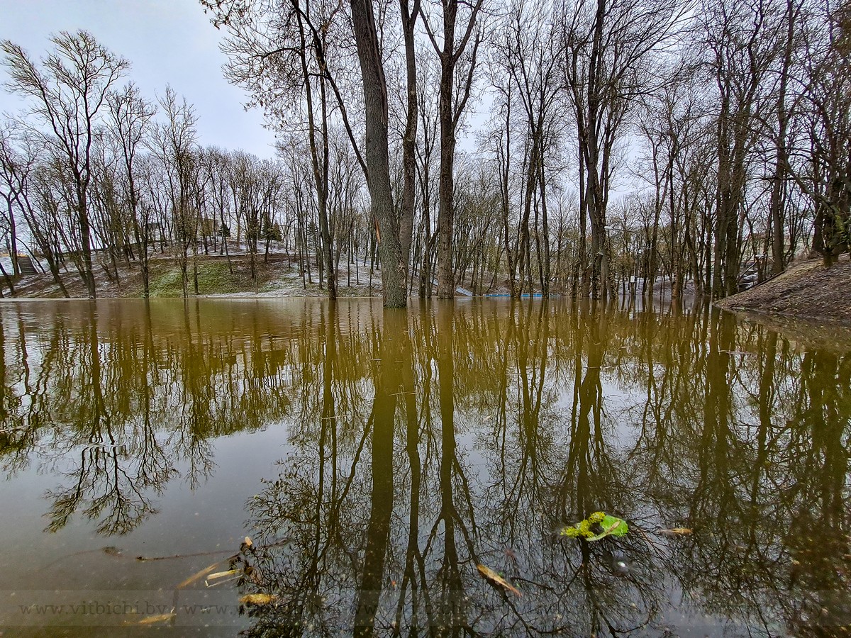 Вода в западной двине