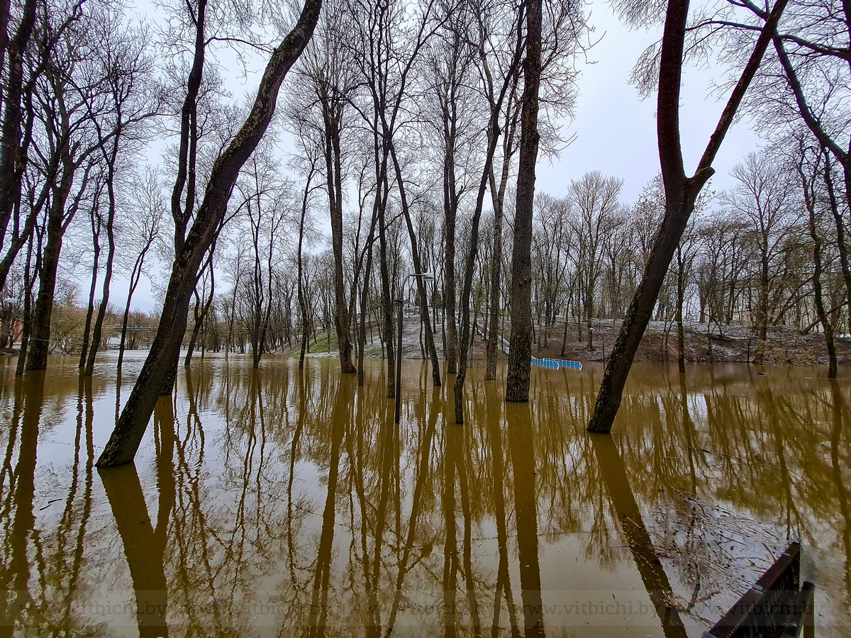 Полоцк река Западная Двина