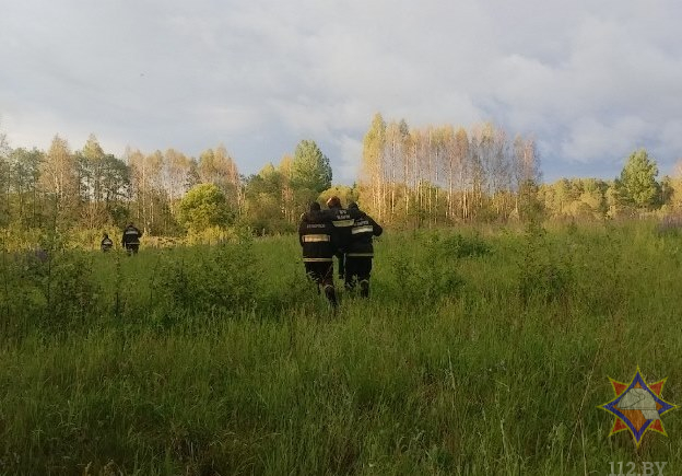 На Витебщине работники МЧС нашли потерявшуюся в лесу женщину На Витебщине работники МЧС нашли потерявшуюся в лесу женщину
