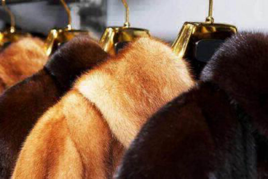 В Орше покупательница шубы стала жертвой мошенников в Instagram