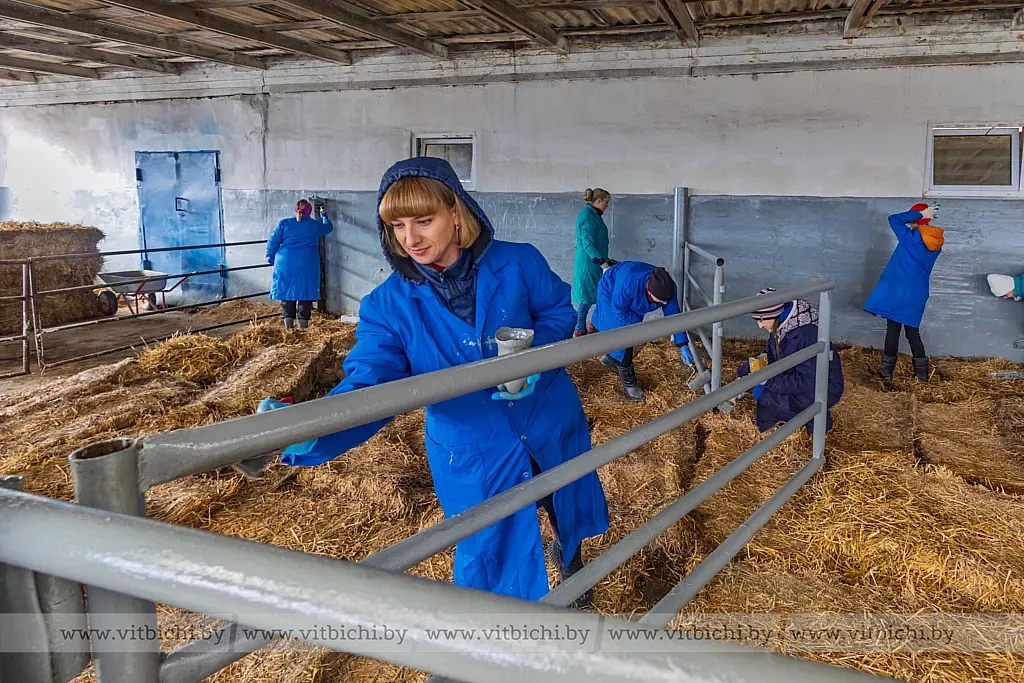 Витебские предприятия помогают аграриям в уборке урожая и наведении порядка