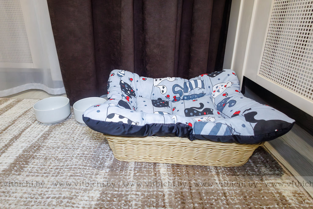 Гостям с животными в номере предоставляют миски и лежанку.