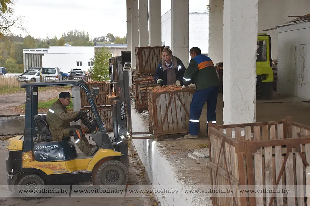 Плодовоовощное хранилище производственного кооператива "Ольговское" в Витебске Плодовоовощное хранилище производственного кооператива "Ольговское" в Витебске