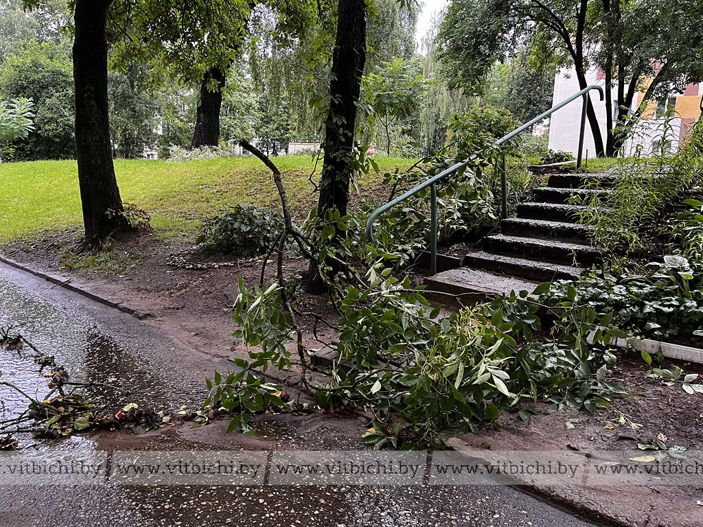 Энергетики устраняют последствия непогоды: в Беларуси восстановительные работы ведут 180 бригад