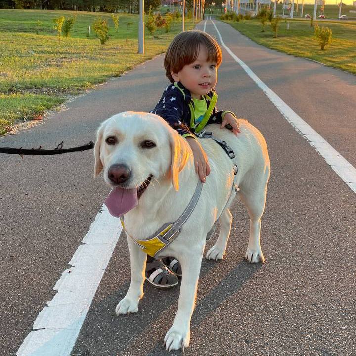 Минжилкомхоз предлагает принять участие в обсуждении новых правил обращения с животными.