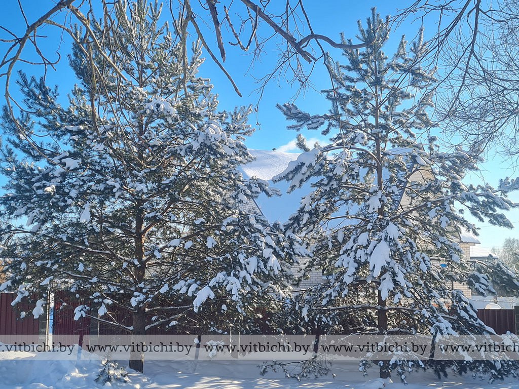 прогноз погоды в Витебске на 15 февраля