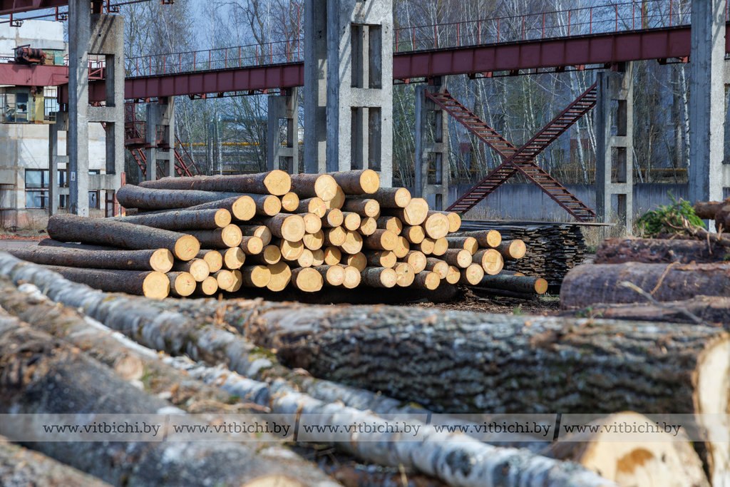 Беларусь вводит временное лицензирование на стекло, макулатуру и древесину