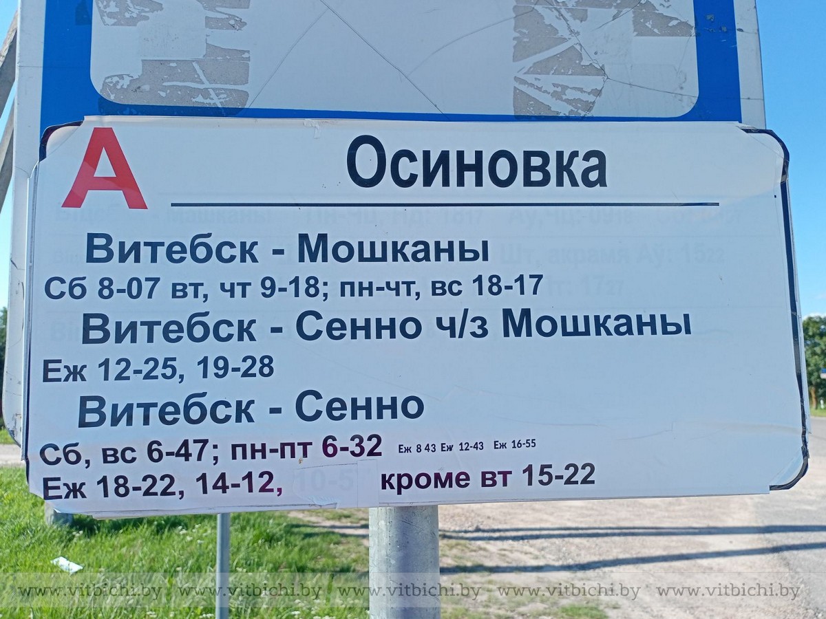Автобус дачи дружба. Автобус на дачу.