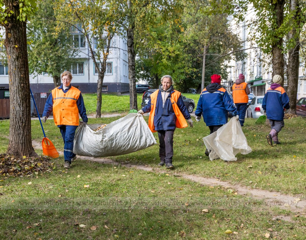 уборка листвы