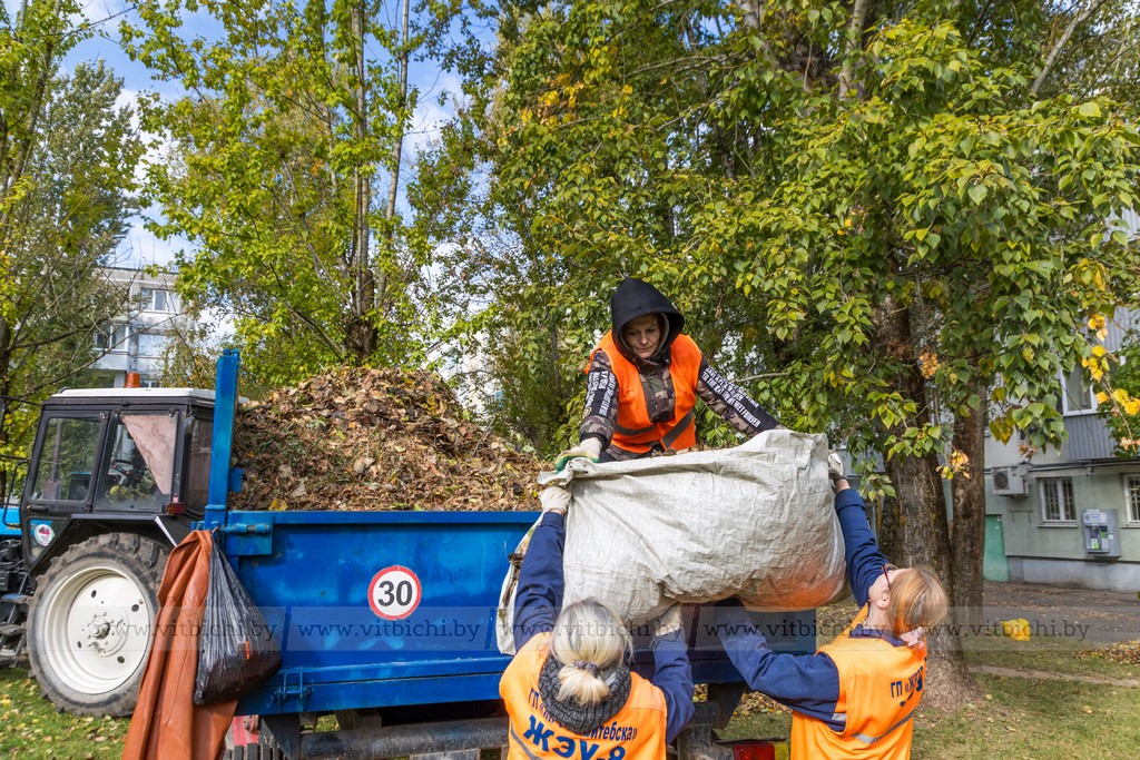 уборка листвы