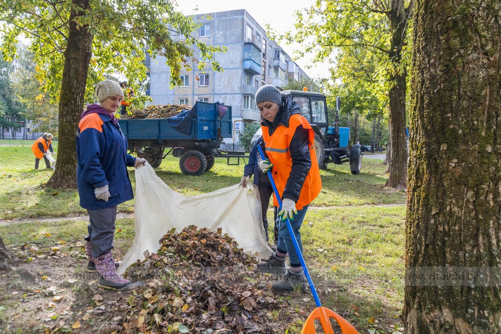уборка листвы