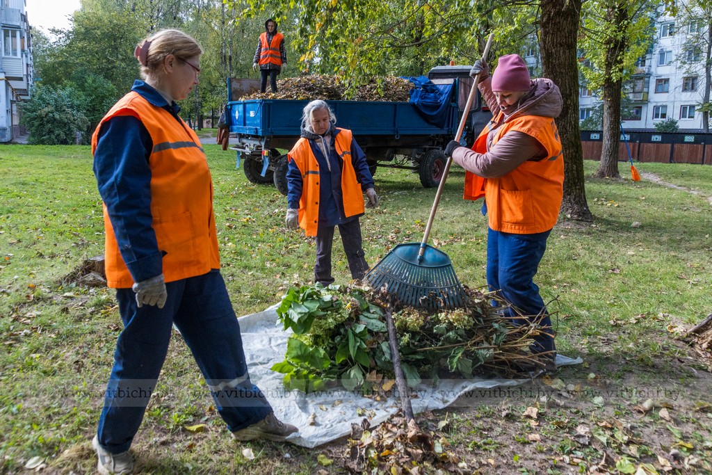 уборка листвы