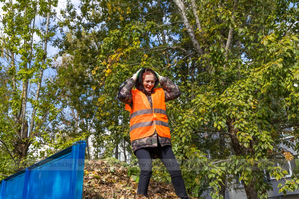 уборка листвы