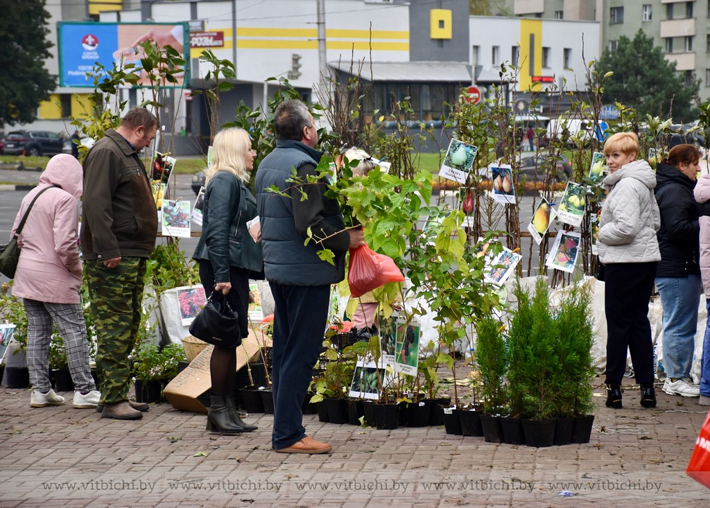 Ярмарка "Восеньскі карагод“ пройдет в Витебске 20 сентября