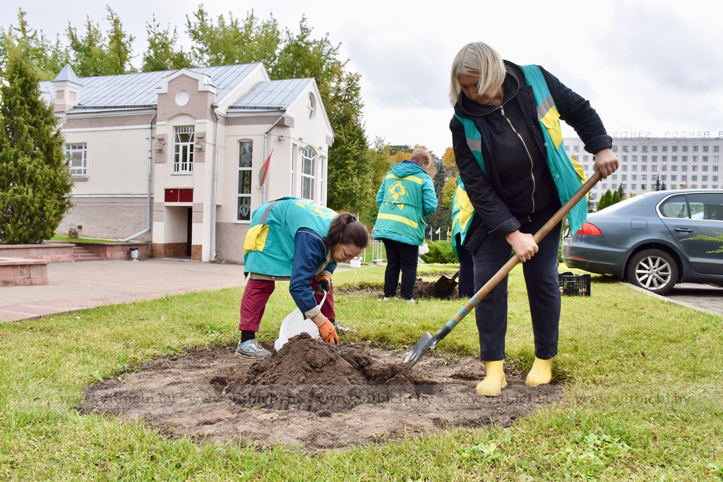 посадка цветов
