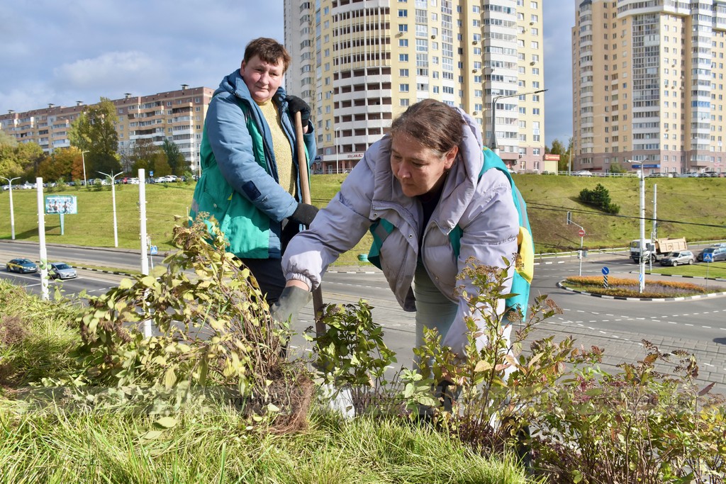 посадка цветов