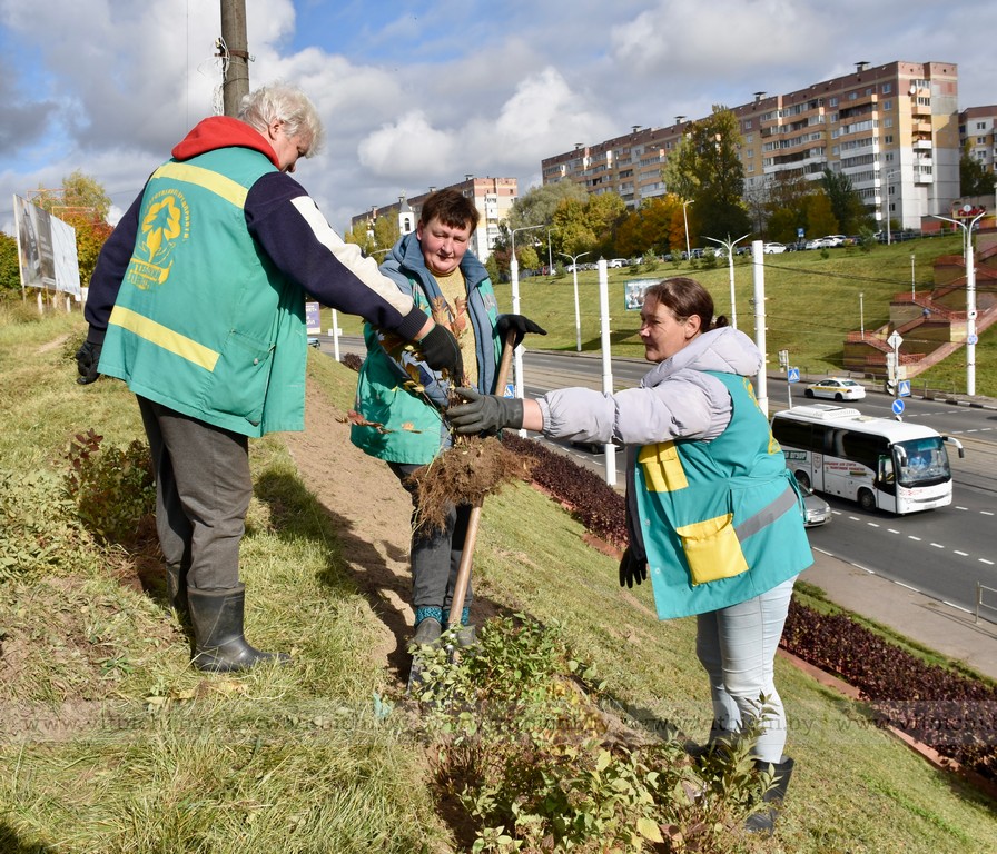 посадка цветов