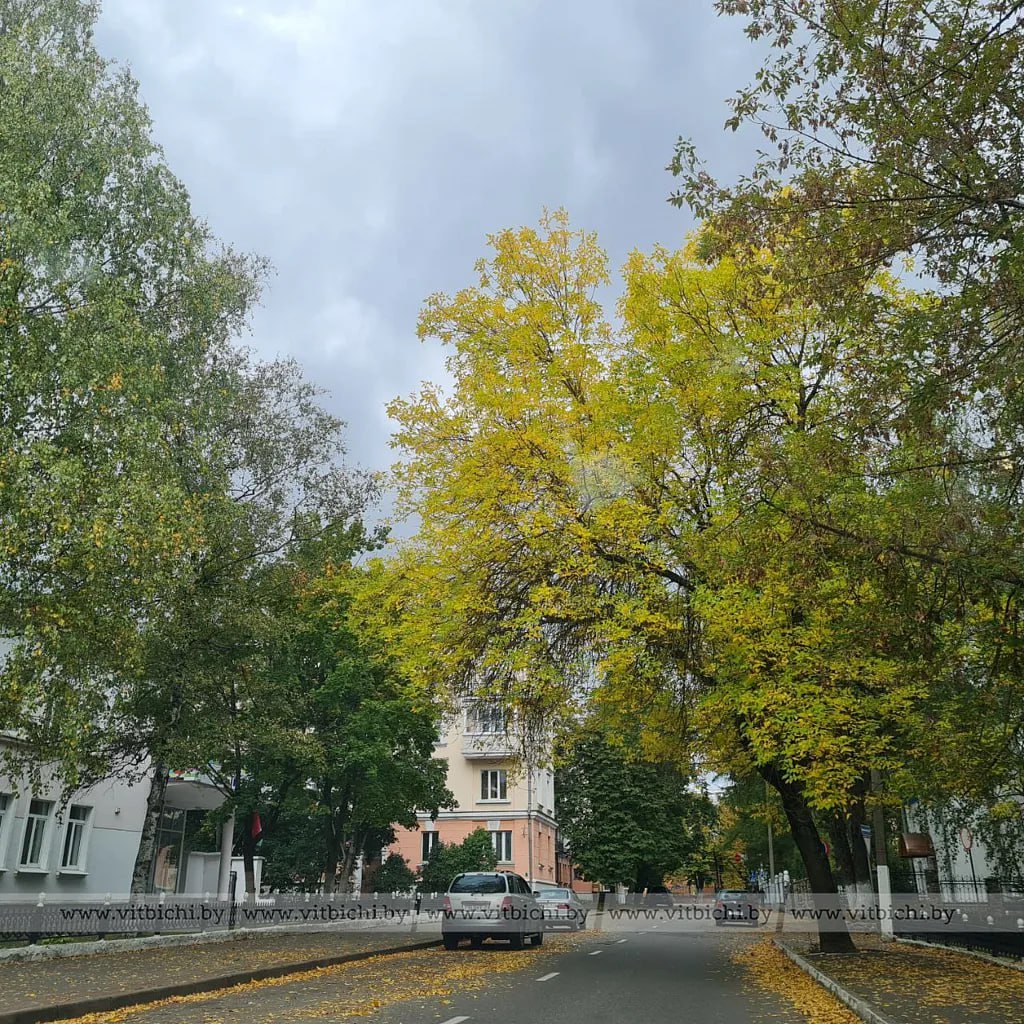 осень витебск