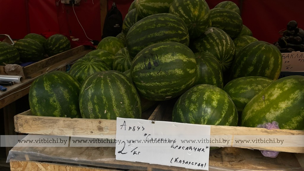 арбузы