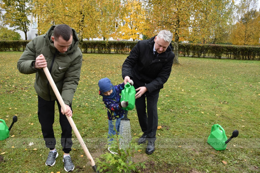 полив дерева