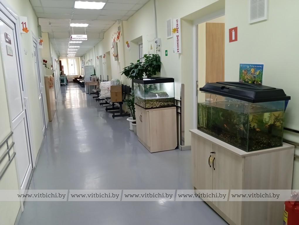 сотрудники Красного Креста посетили пациентов витебского хосписа хоспис