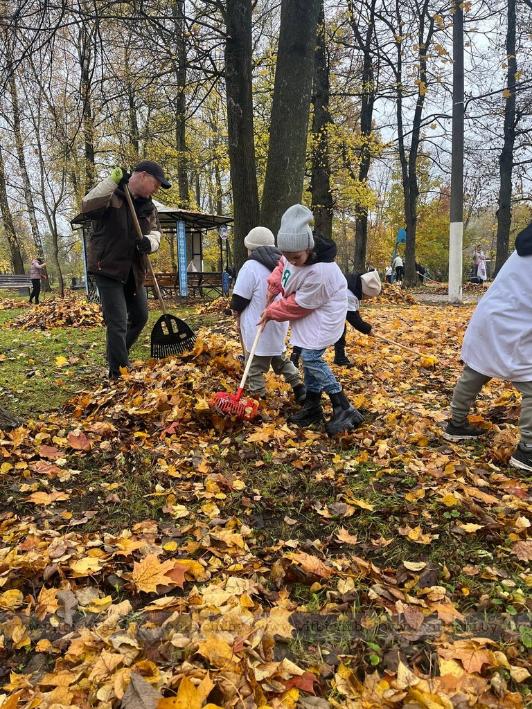 уборка листвы