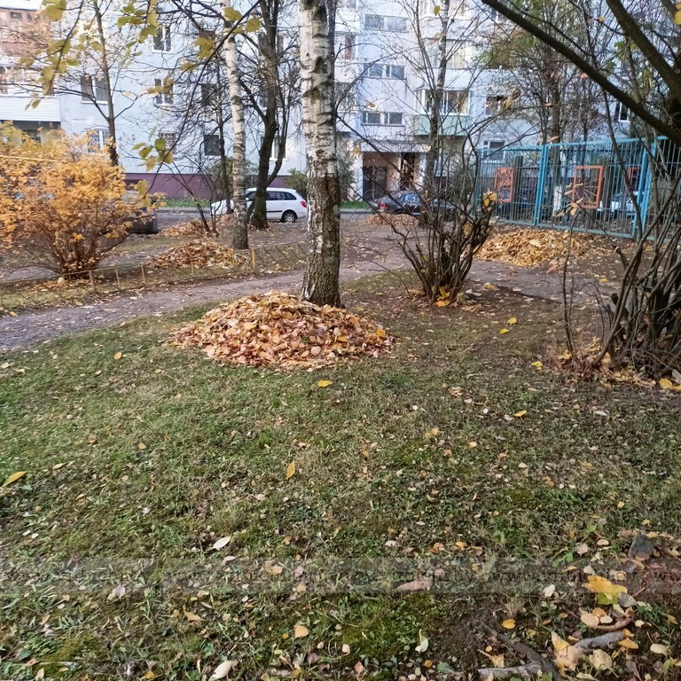 осень