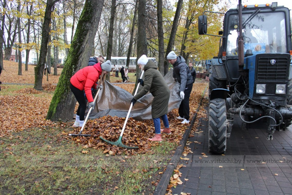 уборка листвы
