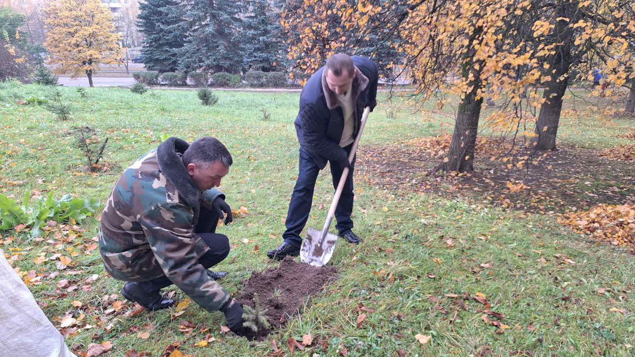 уборка листвы