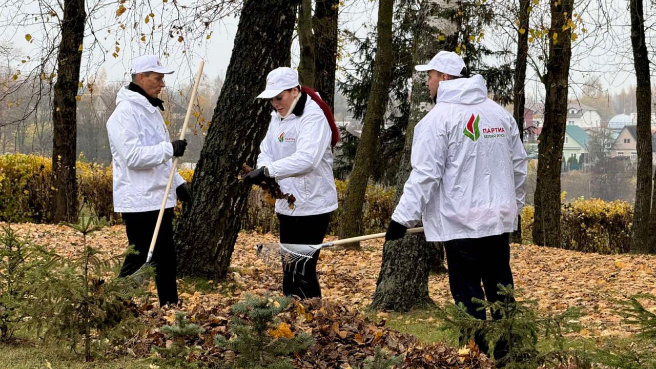 уборка листвы