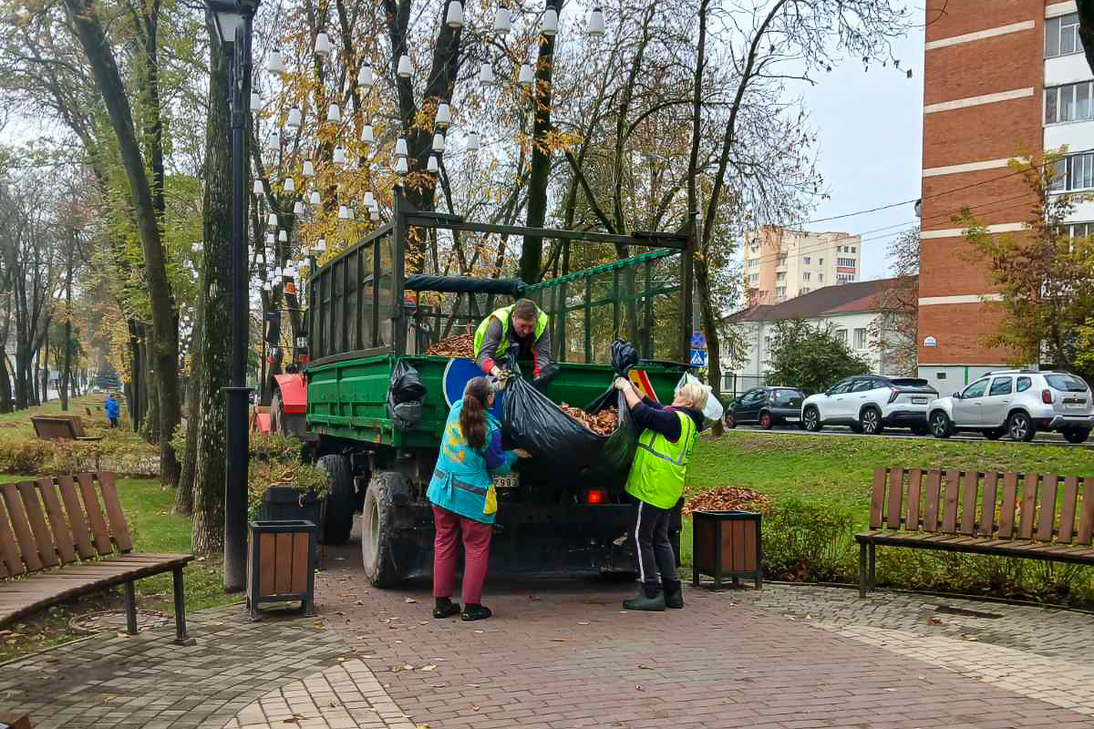 Коммунальные предприятия Витебска в эти и дальнейшие дни месячника по наведению порядка и благоустройству города к зиме сосредоточили усилия на уборке и вывозе опавшей листвы.