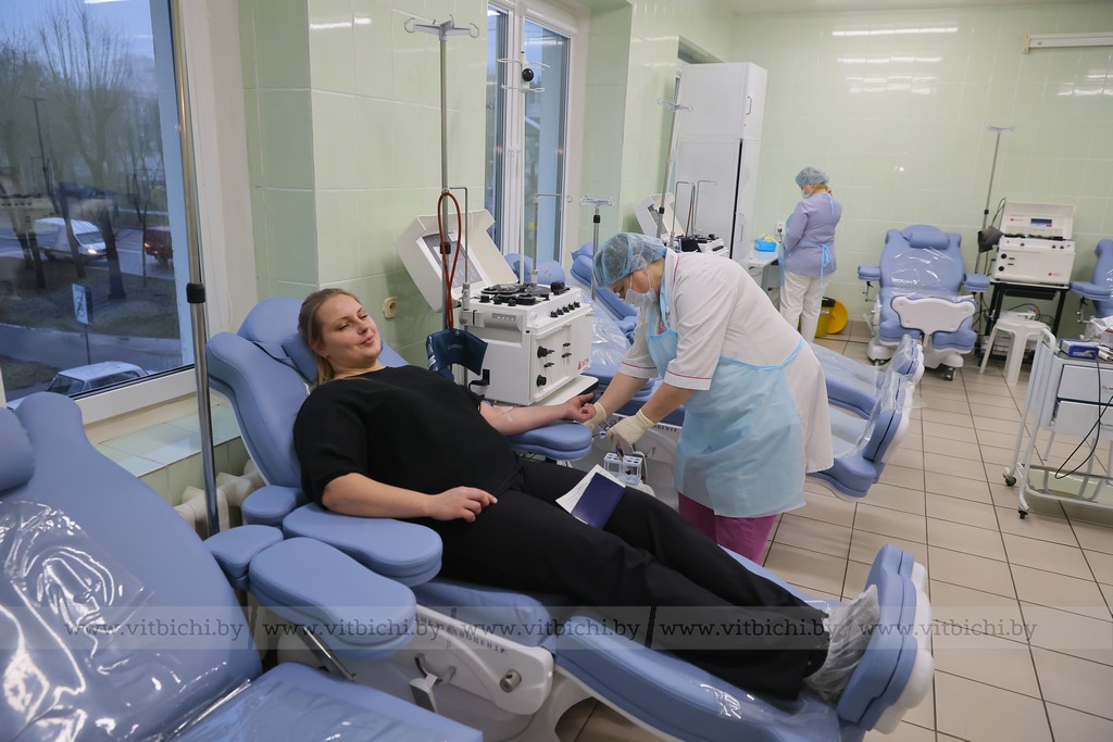 сдача крови