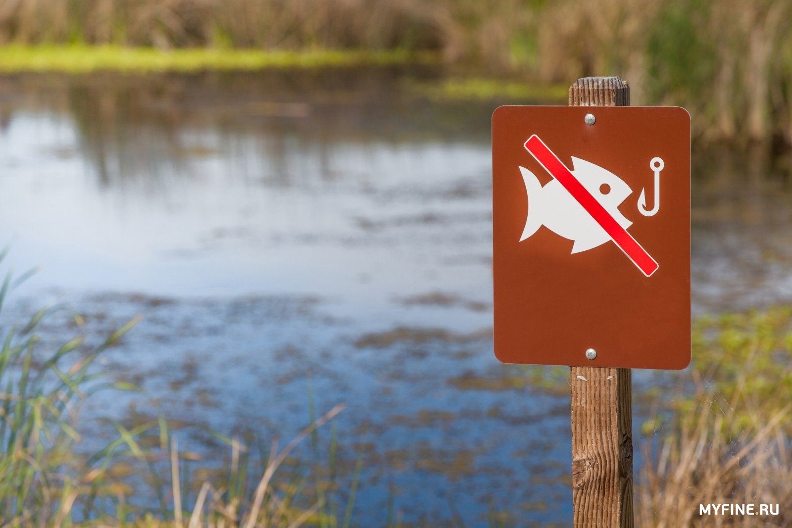 Нерестовый запрет челябинская. Рыбалка запрещена. Ловить рыбу запрещено. Запрет ловли рыбы. Рыба запрещена.