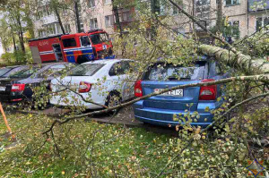 10 упавших деревьев и поврежденные авто - последствия непогоды в Витебске