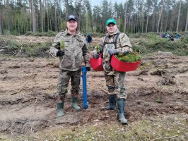 депутаты Палаты представителей Национального собрания восьмого созыва присоединились  к акции «Аднавім лясы разам!»