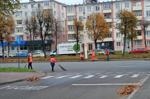 Уборка листвы, косьба травы и порядок во дворах: в Витебске стартовал месячник по санитарной очистке и благоустройству