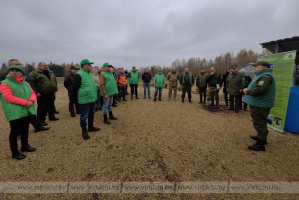 Руководство облисполкома в день республиканского субботника занимается посадкой леса на территории Витебского лесхоза