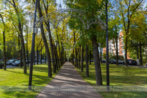 Ноябрьская погода в Витебске: солнце в отпуске, но по-прежнему не мерзнем