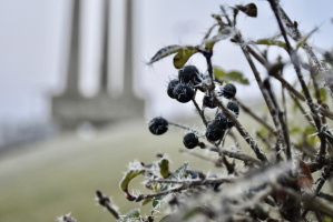 Мокрый снег и гололедица: прогноз погоды в Витебске на 2 января