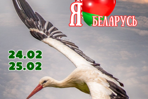 Киноакция «Я люблю Беларусь» пройдет в Витебске в Доме кино и кинотеатре «Мир» 24 и 25 февраля