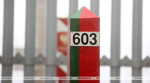 Туск заявил, что Польша может в ноябре открыть два пункта пропуска на границе с Беларусью