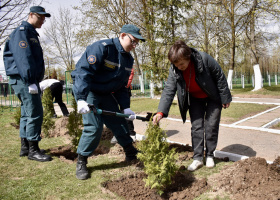 В Витебске заложили Аллею памяти в честь участников ликвидации последствий аварии на Чернобыльской АЭС