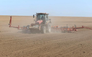 Сев озимых зерновых завершили в Витебской области
