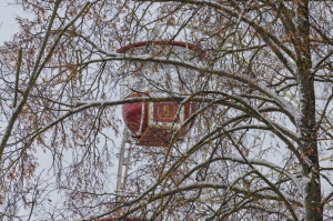 Мокрый снег и гололед: прогноз погоды в Витебске на 12 февраля 