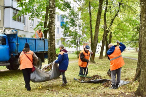 В Витебске 5 октября стартует месячник по наведению порядка и благоустройству
